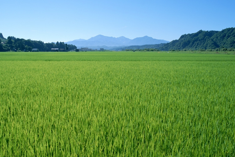 農業用に地下水を利用したい